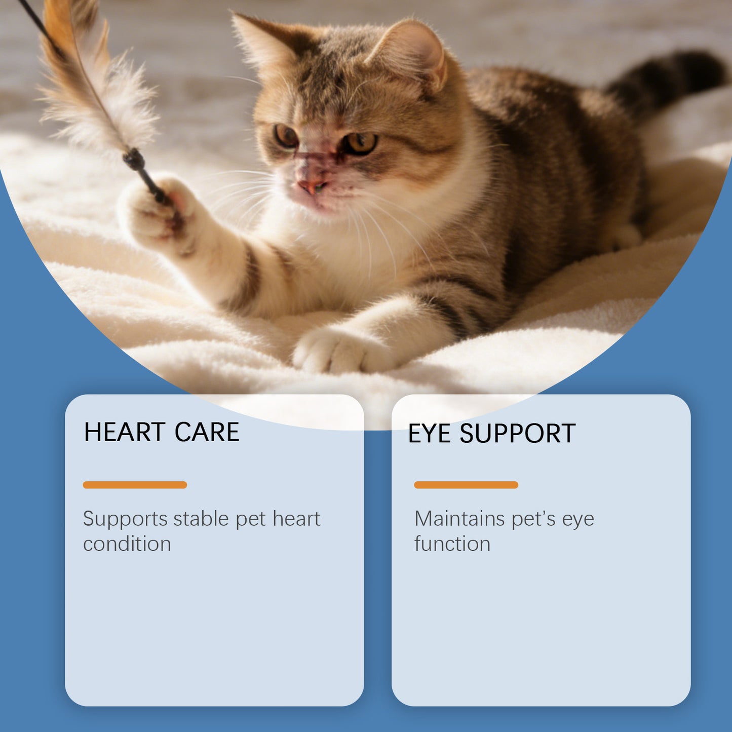 Taurine Powder for Cats Gentle Formula for Comfort and Nutritional Support