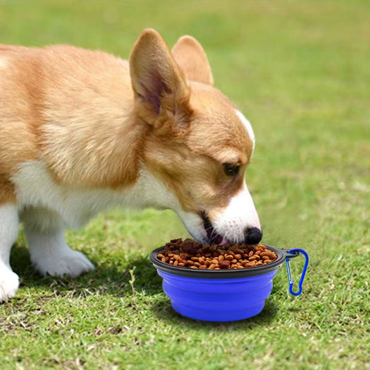 Large 34Oz Collapsible Silicone Dog Bowls Portable Eco-Friendly Travel Food and Water Feeders Custom Logo Acceptable for Pets